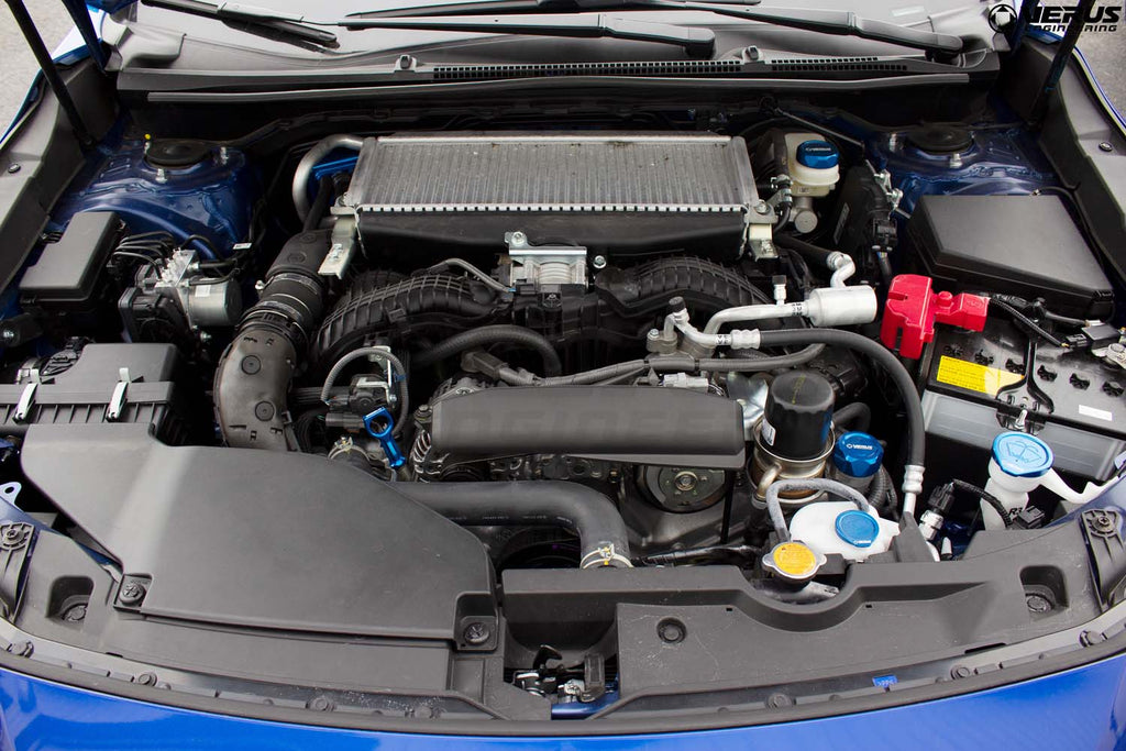 Verus Dipstick - Subaru/Toyota